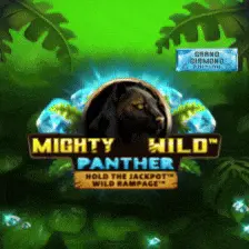 Mighty Wild Panther Grand Diamond Edition slot game